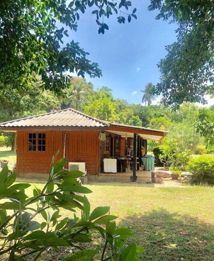 Lamai Chalet Amphoe Koksamui エクステリア 写真