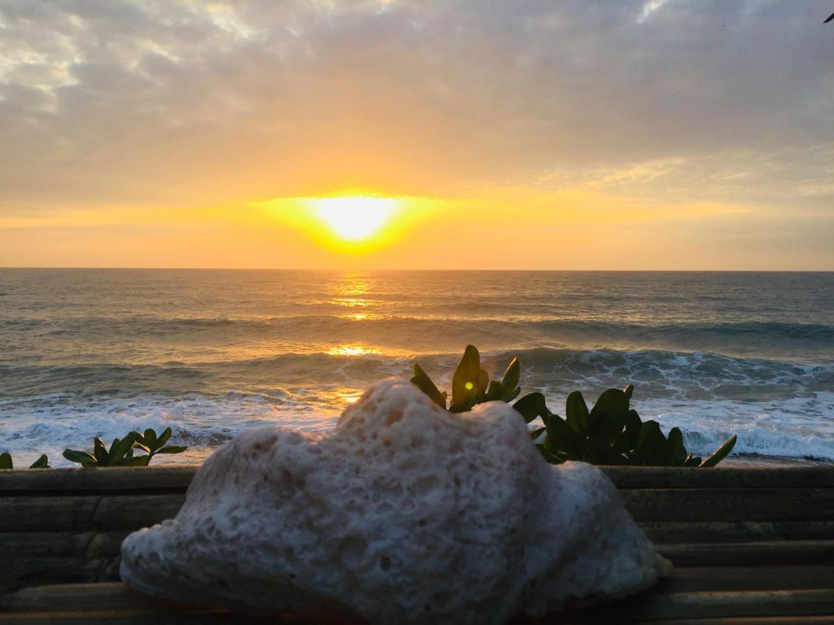 Lamai Chalet Amphoe Koksamui エクステリア 写真